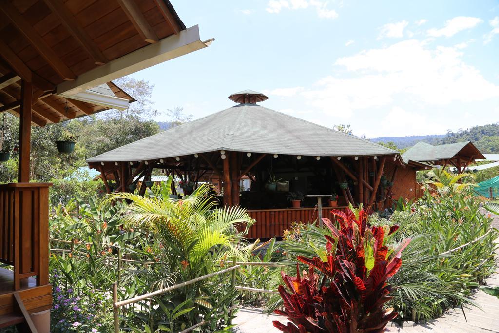 Sisakuna Lodge Mindo Kültér fotó